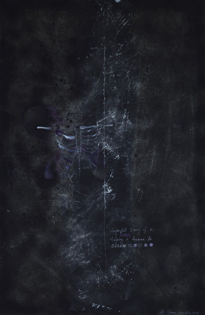 Roxana Donaldson, Imperfect Xray of a Butterfly Helping a Human Breath, 70x100cm, mixed technique on recycled fapric, 2025. Safety First! art installation, installation by Roxana Donaldson at DalgART Craiova solo show 2025. The image is representative for fine art artist Roxana Donaldson. Mixed technique on cloth panel by Roxana Donaldson. Conceptual inscriptions and layered process art and post minialist art.