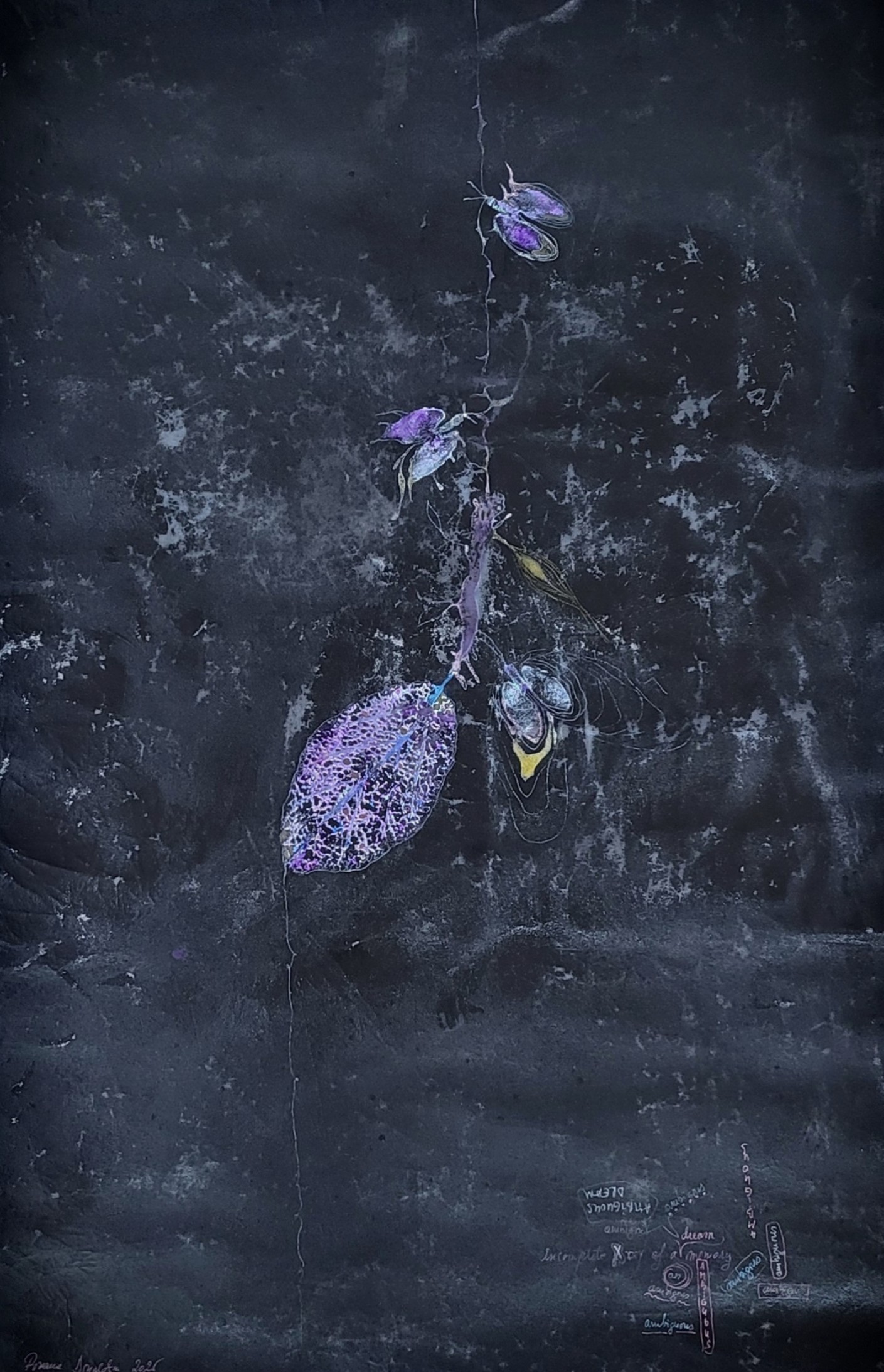 Dark textured painting by Roxana Donaldson with purple organic leaf-like forms and archival inscriptions.