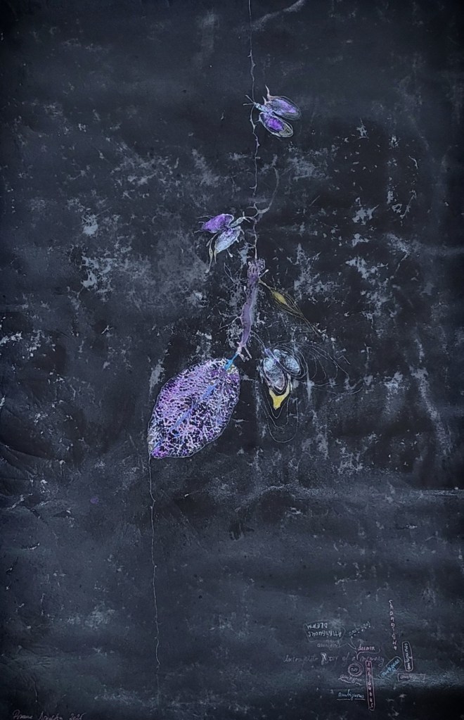 Roxana Donaldson, Imperfect X-Ray #2: Incomplete Trace of a Memory, 70x100cm, mixed technique on recycled fabric, 2025. Safety First! art installation, installation by Roxana Donaldson solo show 2025. The image is representative for fine art artist Roxana Donaldson. Mixed technique on cloth panel by Roxana Donaldson. Conceptual inscriptions and layered process art and post minimalist art. Dark textured background with white organic splatter and inscriptions by artist Roxana Donaldson. Dark textured painting by Roxana Donaldson with purple organic leaf-like forms and archival inscriptions.