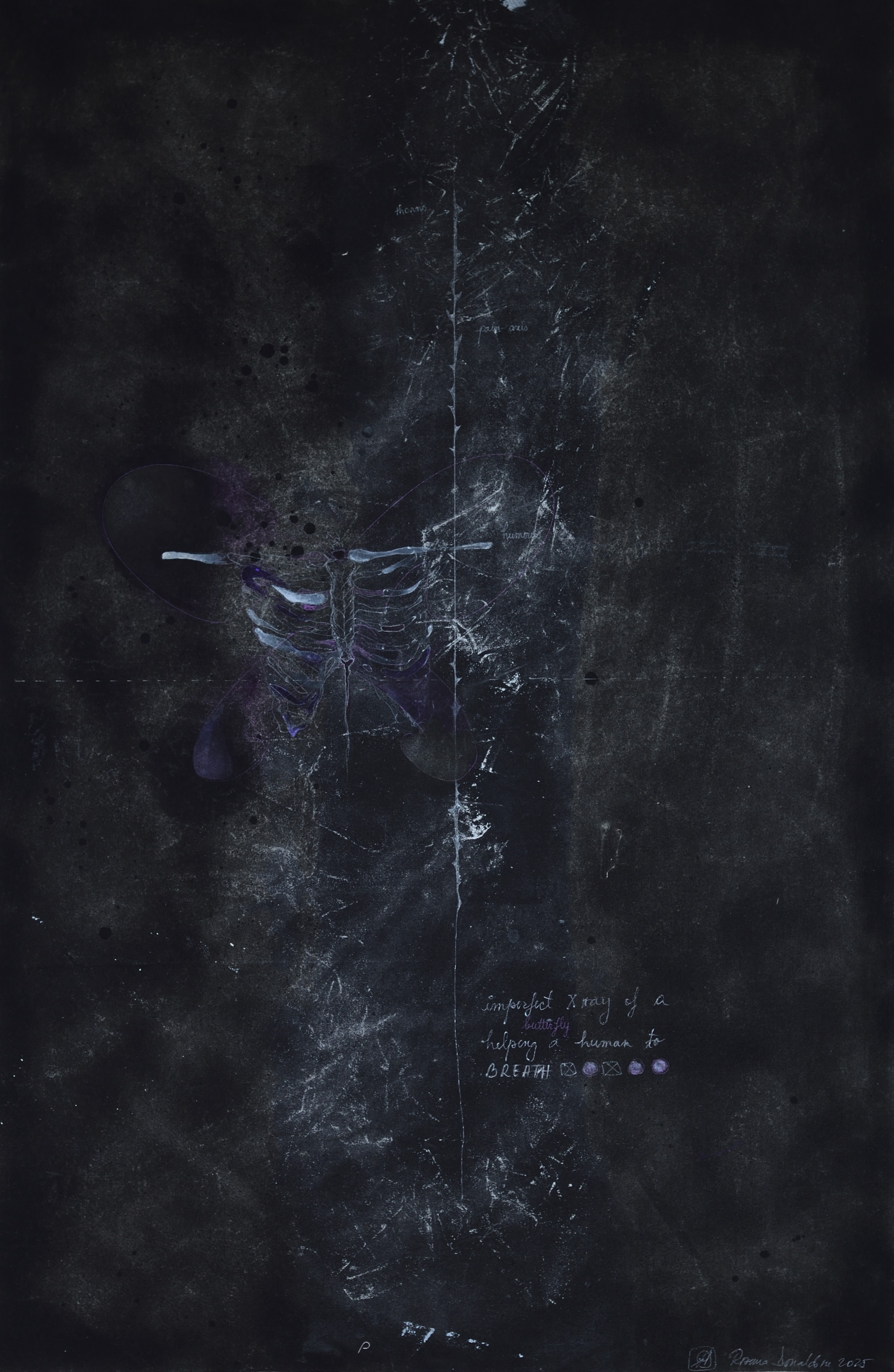 Mixed technique on cloth panel by Roxana Donaldson. Detail showing conceptual inscriptions and butterfly X-ray.